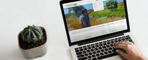 La valigia di Bacco ora è anche un e-commerce di vini naturali