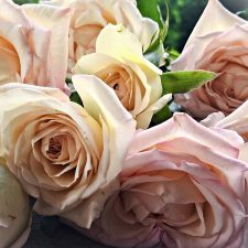I fiori per un battesimo