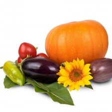 Cibo biologico come riconoscerlo